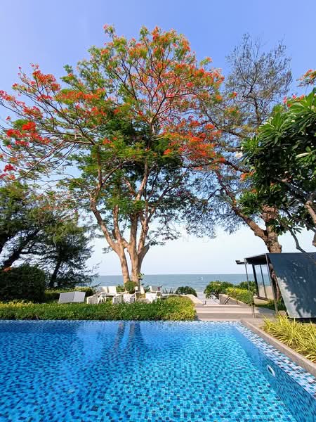 Baan Sandao : บ้านแสนดาว, ประจวบคีรีขันธ์, 57 Phet Kasem Rd, หัวหิน, หัวหิน, ประจวบคีรีขันธ์, 75 ตร.ม., คอนโด ให้เช่า, โดย Fazwaz (Thailand) Co., Ltd., 500286118 - DDproperty.com