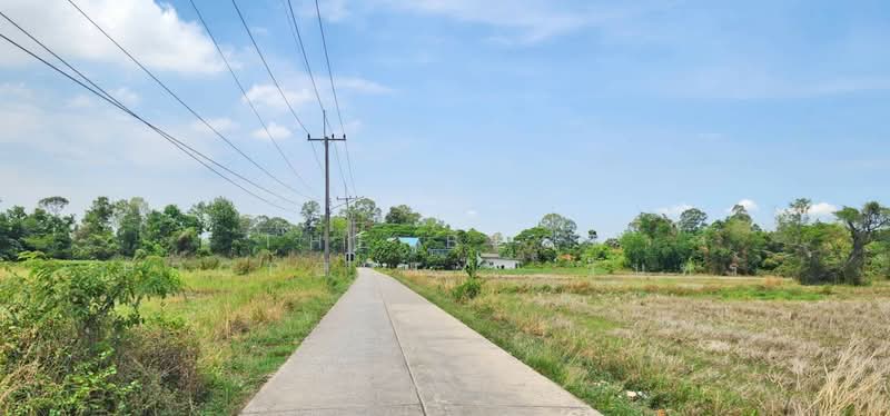 ที่ดินบ้านนา นครนายก, Nakhon Nayok, Pa Kha, Ban Na, Nakhon Nayok, , 18,268 sqm, Land For Sale, by The Best Property  รินทร์, 500286131 - DDproperty.com