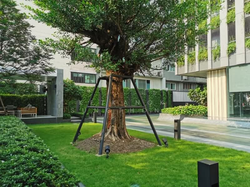 Rhythm Ekkamai, Bangkok, 11 Soi Sukhumvit 63, Khlongtoei Nua, Watthana, Bangkok, 2 Bedrooms, 70 sqm, Condo For Rent, by Ketkanok Sungthong, 500286167 - DDproperty.com