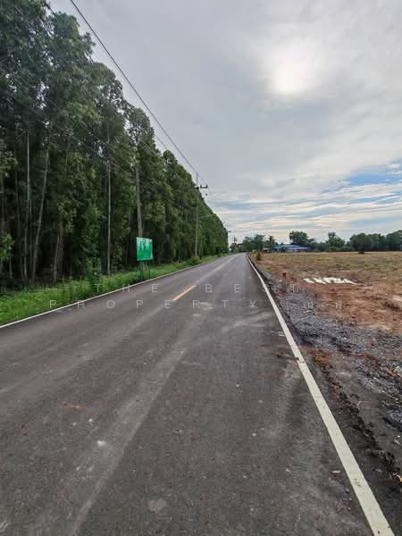 ที่ดินศรีมหาโพธิ ปราจีนบุรี, Prachin Buri, Khok Thai, Si Mahosot, Prachin Buri, , 2,688 sqm, Land For Sale, by The Best Property ณท, 500286234 - DDproperty.com