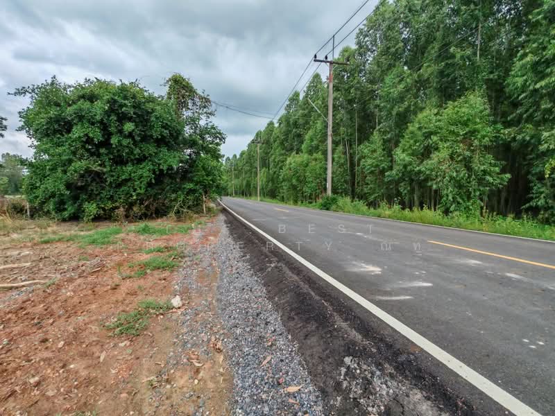 ที่ดินศรีมหาโพธิ ปราจีนบุรี, Prachin Buri, Khok Thai, Si Mahosot, Prachin Buri, , 2,688 sqm, Land For Sale, by The Best Property ณท, 500286234 - DDproperty.com