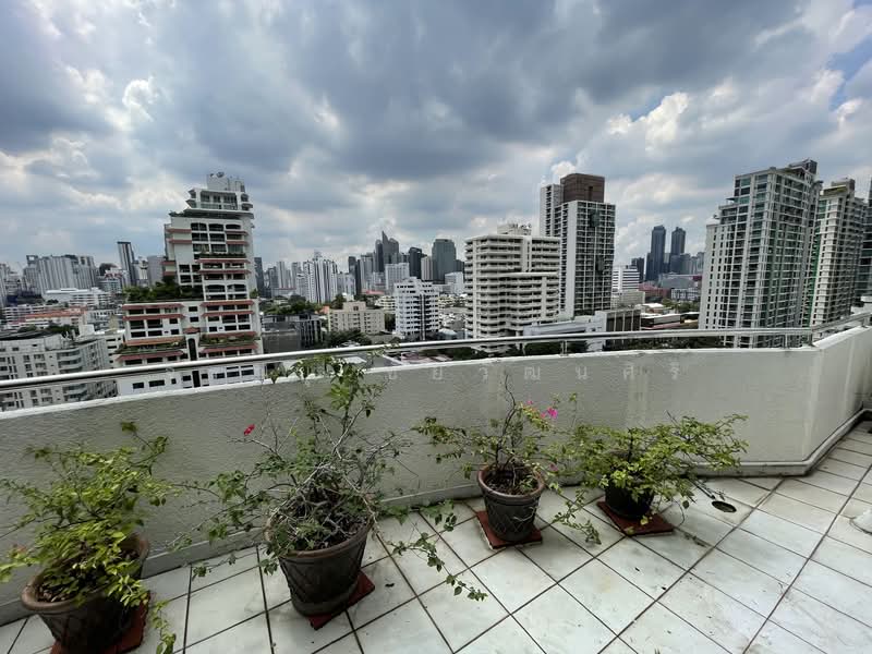 Supalai Place Sukhumvit 39 : ศุภาลัย เพลส สุขุมวิท 39, กรุงเทพ, 175-179 ซอยสุขุมวิท 39 ถนนสุขุมวิท แขวงคลองตันเหนือ เขตวัฒนา กรุงเทพมหานคร, คลองตันเหนือ, วัฒนา, กรุงเทพ, 142 ตร.ม., คอนโด ให้เช่า, โดย จิรายุ ชัยวัฒนศิริ, 500286494 - DDproperty.com