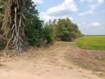 ที่ดินบึงบอน หนองเสือ, ปทุมธานี