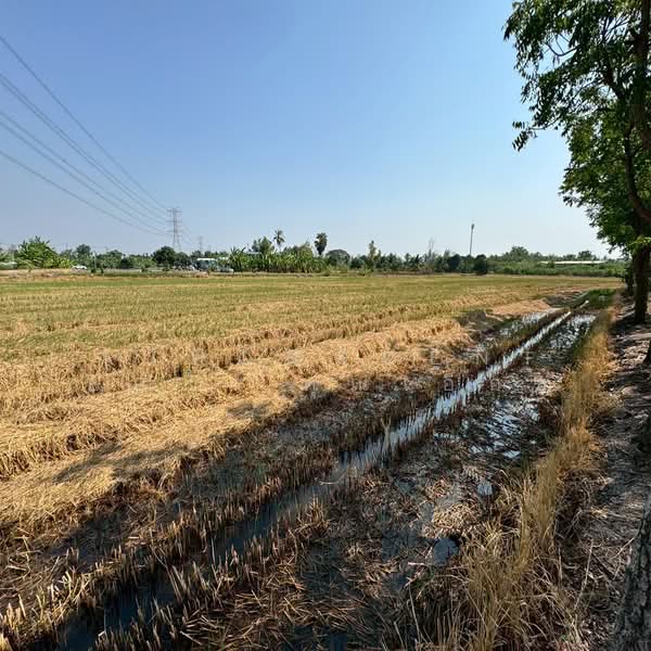 ที่ดินพร้อมสิ่งปลูกสร้าง ขนาด8-0-75.2ไร่ ถนนเลียบคลองประปามหาสวัสดิ์ บางคูรัด, Nonthaburi, Bang Khu Rat, Bang Bua Thong, Nonthaburi, , 11,500 sqm, Land For Sale, by AJHOMECENTER - คุณเอ็กซ์, 500286994 - DDproperty.com