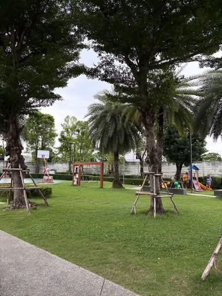 Baan Klang Muang Kalpapruek : บ้านกลางเมือง กัลปพฤกษ์, กรุงเทพ, ถนนศาลธนบุรี, บางหว้า, ภาษีเจริญ, กรุงเทพ, 117 ตร.ม., ทาวน์เฮ้าส์ ขาย, โดย Sunitra Sachdev, 500287027 - DDproperty.com