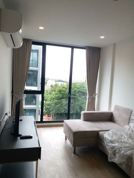 Serio Sukhumvit 50, Bangkok, Soi Sukhumvit 50, Phra Kanong, Khlong Toei, Bangkok, 1 Bedroom, 37 sqm, Condo For Rent, by Kanyapuk Tinanop, 500287110 - DDproperty.com