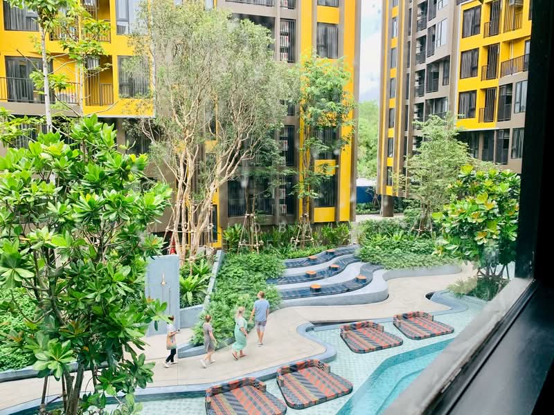 The Base Central, Phuket, Chao Fah Tawan Tok Rd, Wichit, Muang Phuket, Phuket, 1 Bedroom, 29 sqm, Condo For Rent, by primeglobalasset paery, 500287283 - DDproperty.com