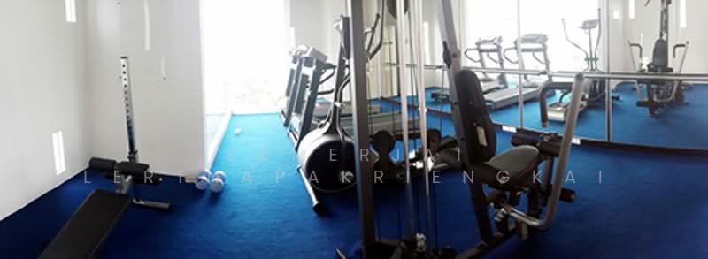 The Alcove Sukhumvit 49, Bangkok, Soi Sukhumvit 49, Khlong Tan Nua, Watthana, Bangkok, 1 Bedroom, 50 sqm, Condo For Rent, by Samerjai Lertnapakriengkai, 500287297 - DDproperty.com