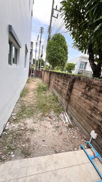 Habitown Kohkaew : ฮาบิทาวน์ เกาะแก้ว, ภูเก็ต, ถ.เทพกระษัตรี, เกาะแก้ว, เมืองภูเก็ต, ภูเก็ต, 150 ตร.ม., ทาวน์เฮ้าส์ ให้เช่า, โดย primeglobalasset bee, 500287462 - DDproperty.com