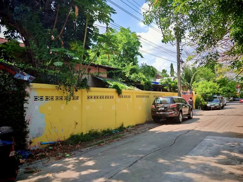เค.ซี. เลคแลนด์ (KC Lake Land) ซอยนิมิตใหม่59, Bangkok, ถนนนิมิตใหม่, Sam Wa Tawan Ok, Khlong Sam Wa, Bangkok, 3 Bedrooms, 200 sqm, Single Detached House For Sale, by คุณ พรชัย เสนจันทร์ฒิไชย (โก้), 500287590 - DDproperty.com
