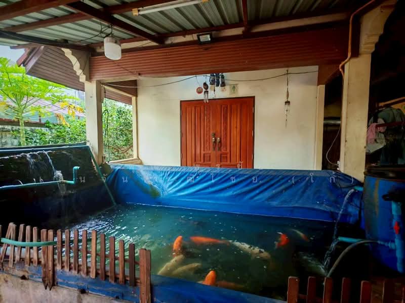 เค.ซี. เลคแลนด์ (KC Lake Land) ซอยนิมิตใหม่59, Bangkok, ถนนนิมิตใหม่, Sam Wa Tawan Ok, Khlong Sam Wa, Bangkok, 3 Bedrooms, 200 sqm, Single Detached House For Sale, by คุณ พรชัย เสนจันทร์ฒิไชย (โก้), 500287590 - DDproperty.com