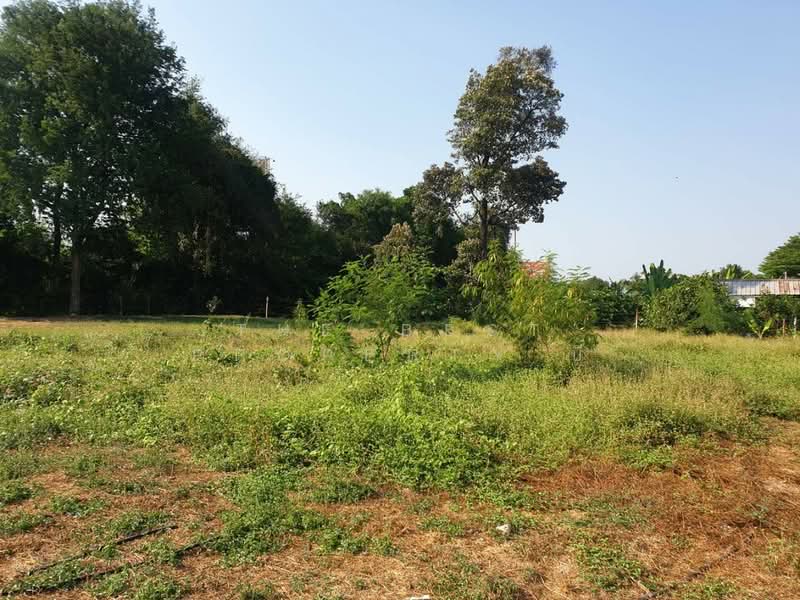 ที่ดินบางกรวย นนทบุรี, Nonthaburi, Bang Khun Kong, Bang Kruai, Nonthaburi, , 1,552 sqm, Land For Rent, by The Best Property บี, 500287631 - DDproperty.com