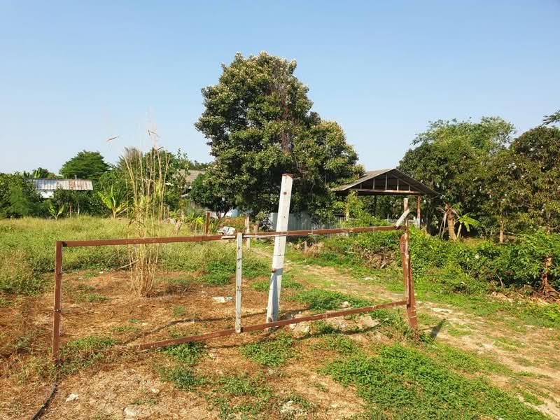 ที่ดินบางกรวย นนทบุรี, นนทบุรี, บางขุนกอง, บางกรวย, นนทบุรี, 1,552 ตร.ม., ที่ดิน ให้เช่า, โดย The Best Property บี, 500287631 - DDproperty.com