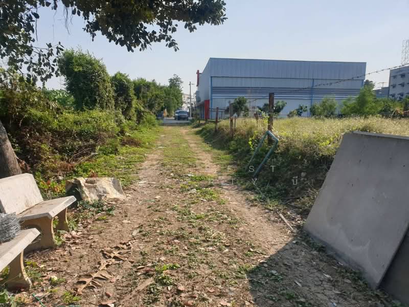 ที่ดินบางกรวย นนทบุรี, Nonthaburi, Bang Khun Kong, Bang Kruai, Nonthaburi, , 1,552 sqm, Land For Rent, by The Best Property บี, 500287631 - DDproperty.com