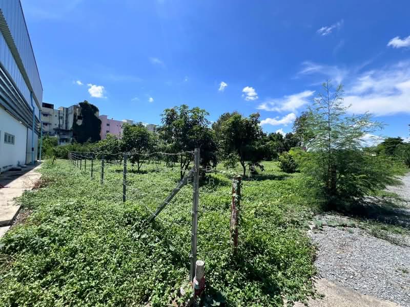 ที่ดินบางกรวย นนทบุรี, Nonthaburi, Bang Khun Kong, Bang Kruai, Nonthaburi, , 1,552 sqm, Land For Rent, by The Best Property บี, 500287631 - DDproperty.com