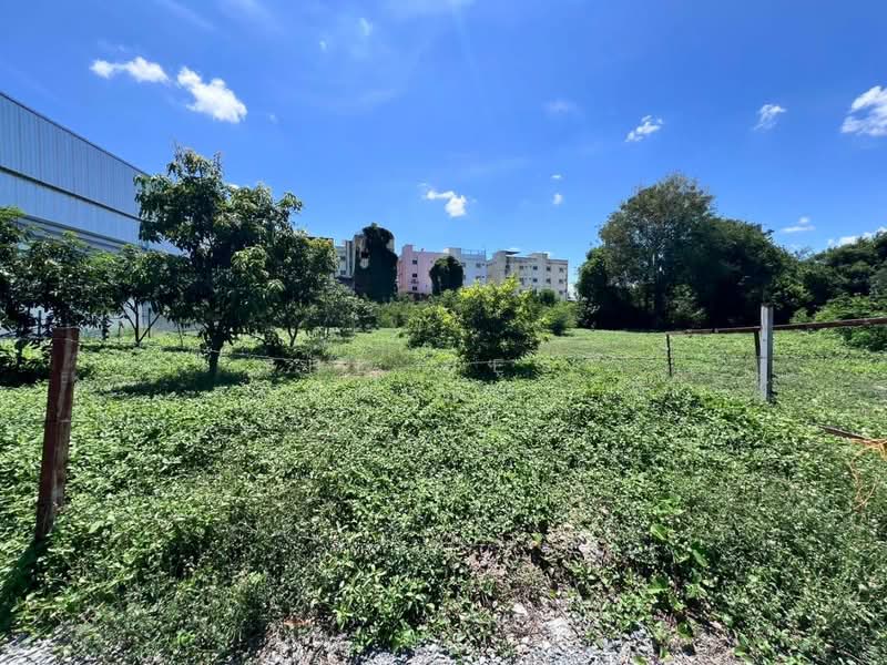 ที่ดินบางกรวย นนทบุรี, Nonthaburi, Bang Khun Kong, Bang Kruai, Nonthaburi, , 1,552 sqm, Land For Rent, by The Best Property บี, 500287631 - DDproperty.com