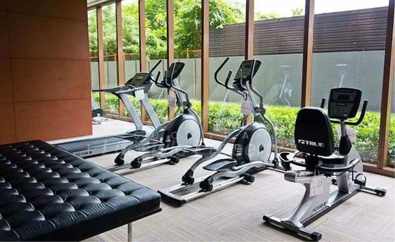 Millennium Residence : มิลเลนเนียม เรสซิเดนซ์, กรุงเทพ, ซอยสุขุมวิท 20 ถนนสุขุมวิท แขวงคลองเตยเหนือ เขตวัฒนา กรุงเทพมหานคร, คลองเตย, คลองเตย, กรุงเทพ, 146 ตร.ม., คอนโด ขาย, โดย Suchira Teshasamphan, 500287911 - DDproperty.com