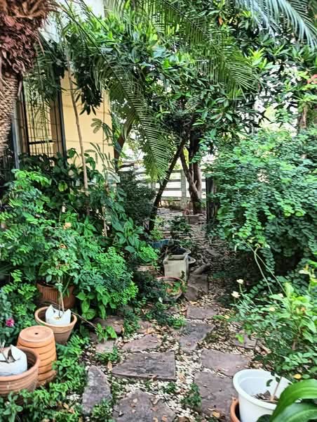 บ้าน 3-ห้องนอน, กรุงเทพ, ดอกไม้, ประเวศ, กรุงเทพ, 204 ตร.ม., บ้านเดี่ยว ขาย, โดย Sanick Sawaisanyakorn, 500288104 - DDproperty.com