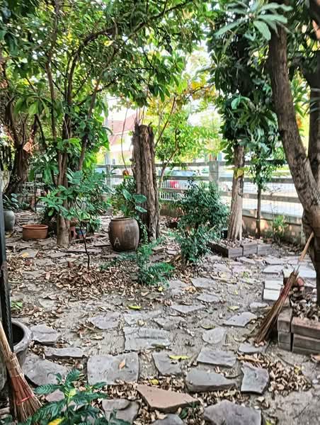 3-BR House, Bangkok, Dok Mai, Prawet, Bangkok, 3 Bedrooms, 204 sqm, Single Detached House For Sale, by Sanick Sawaisanyakorn, 500288104 - DDproperty.com