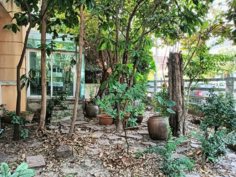 3-BR House, Bangkok, Dok Mai, Prawet, Bangkok, 3 Bedrooms, 204 sqm, Single Detached House For Sale, by Sanick Sawaisanyakorn, 500288104 - DDproperty.com