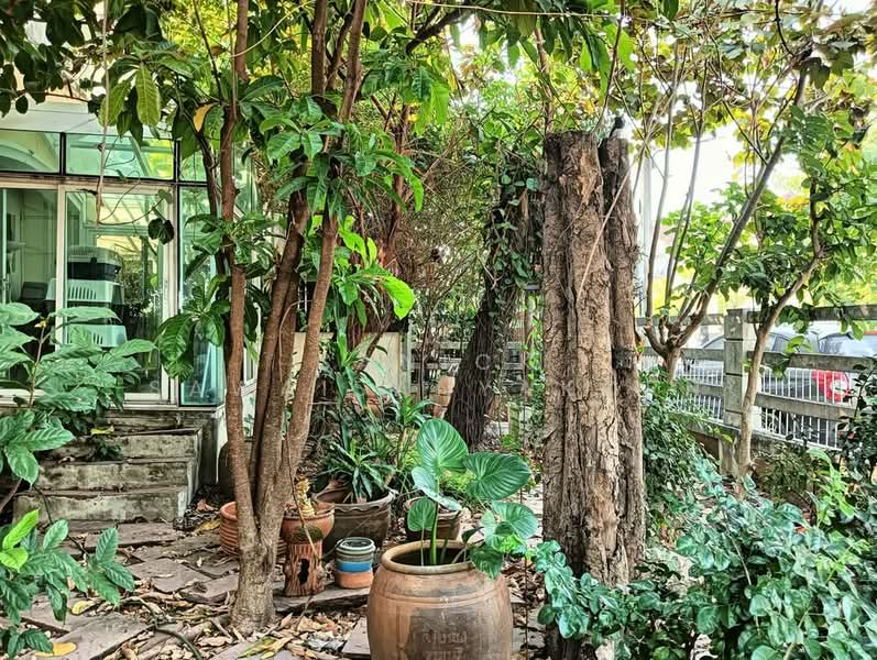 บ้าน 3-ห้องนอน, กรุงเทพ, ดอกไม้, ประเวศ, กรุงเทพ, 204 ตร.ม., บ้านเดี่ยว ขาย, โดย Sanick Sawaisanyakorn, 500288104 - DDproperty.com
