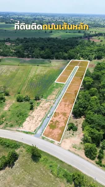 แก้งสนามนาง, Nakhon Ratchasima, Non Samran, Kaeng Sanam Nang, Nakhon Ratchasima, , 5,600 sqm, Land For Sale, by Nipawan Thurasuk, 500288163 - DDproperty.com