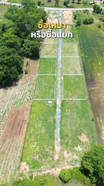 แก้งสนามนาง, Nakhon Ratchasima, Non Samran, Kaeng Sanam Nang, Nakhon Ratchasima, , 5,600 sqm, Land For Sale, by Nipawan Thurasuk, 500288163 - DDproperty.com