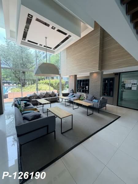 Elio Del Ray, Bangkok, 95 Sukhumvit 64 Road, Bang Chak, Phra Khanong, Bangkok, 1 Bedroom, 34 sqm, Condo For Rent, by Nichaphat Sakunchayapha, 500288739 - DDproperty.com