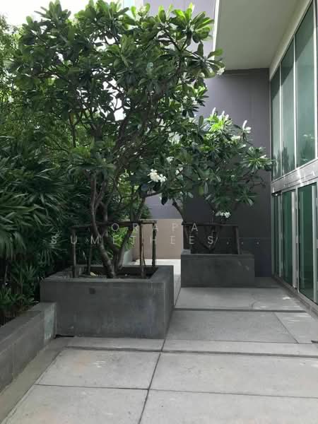 The River by Raimon Land, Bangkok, Soi Charoen Nakorn 13, Charoen Nakorn Road, Khlong Ton Sai, Khlong San, Bangkok, 3 Bedrooms, 286 sqm, Condo For Sale, by Orapa Sumetheesirisakul, 500289020 - DDproperty.com