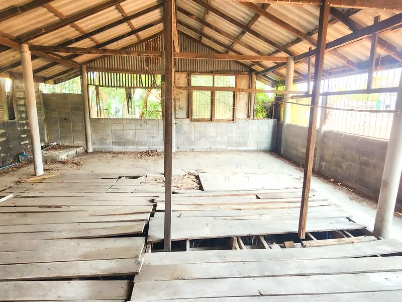 บ้านเดี่ยว 2 ชั้นติดถนน 3261 เลียบคลองสิบ ตำบล บึงบา อำเภอ หนองเสือ ปทุมธานี, Pathum Thani, Bung Ba, Nong Sua, Pathum Thani, 3 Bedrooms, 280 sqm, Single Detached House For Sale, by HOMEPLUS REALTY - คุณภา, 500289027 - DDproperty.com