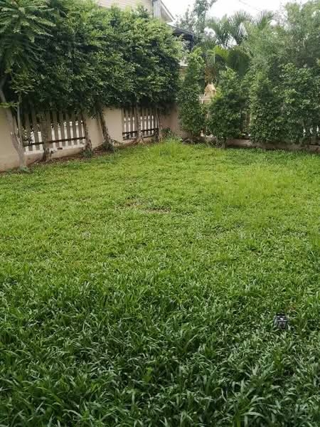 Hangdong, Chiang Mai, Nong Kwai, Hang Dong, Chiang Mai, 3 Bedrooms, 180 sqm, Single Detached House For Rent, by วุฒิภัทร มิ่งคำ, 500289080 - DDproperty.com