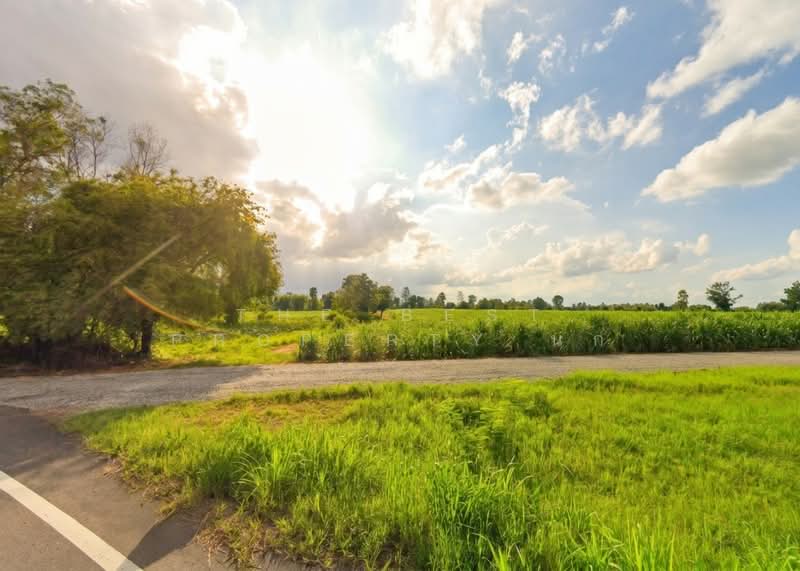 For Sale - ที่ดินสีชมพู ขอนแก่น, Khon Kaen