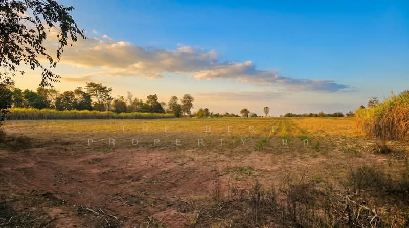 For Sale - ที่ดินสีชมพู ขอนแก่น, Khon Kaen