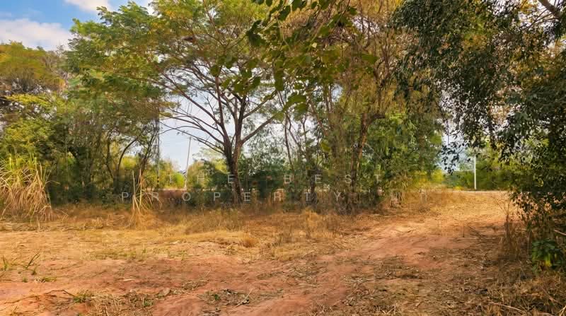 For Sale - ที่ดินสีชมพู ขอนแก่น, Khon Kaen