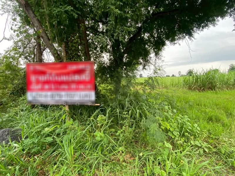 ที่ดินสีชมพู ขอนแก่น, Khon Kaen, Na Chan, Si Chomphu, Khon Kaen, , 61,280 sqm, Land For Sale, by The Best Property นก, 500289222 - DDproperty.com