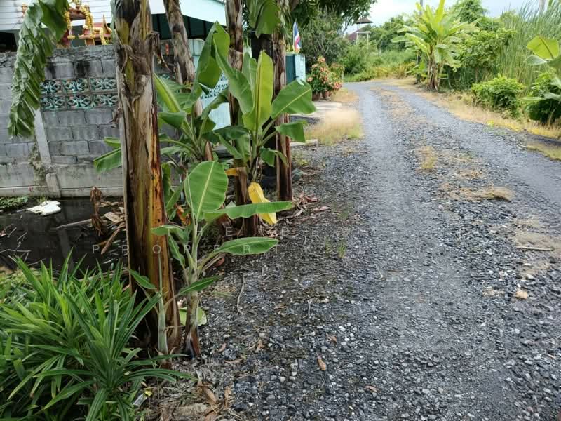 For Sale - ที่ดินลาดกระบัง กรุงเทพมหานคร, Bangkok