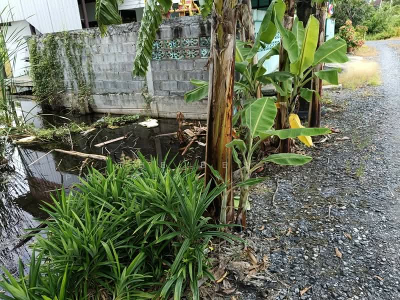 For Sale - ที่ดินลาดกระบัง กรุงเทพมหานคร, Bangkok
