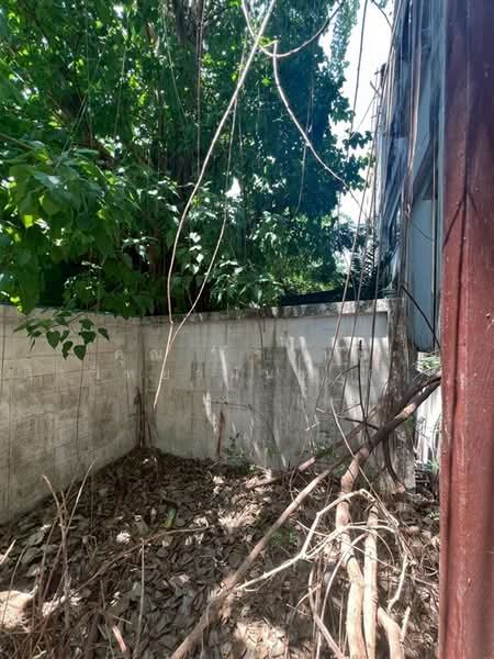 สินธานี ลาดพร้าว 80 ( Sinthanee Ladprao 80 ), กรุงเทพ, ถนนลาดพร้าว, วังทองหลาง, วังทองหลาง, กรุงเทพ, 312 ตร.ม., ทาวน์เฮ้าส์ ขาย, โดย คุณ ธีรธันย์ ศิรวิทยานันท์ (เมฆ), 500289547 - DDproperty.com
