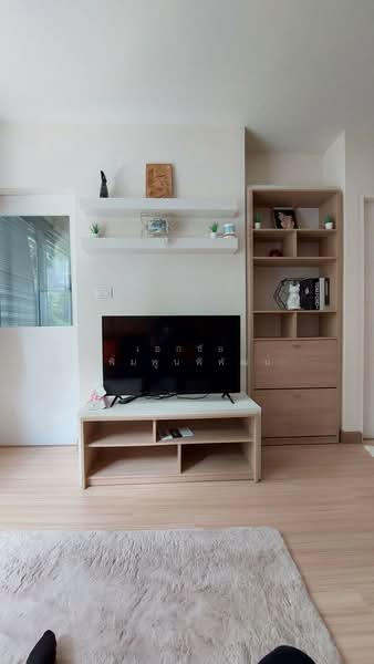 ให้เช่า - My Condo Sukhumvit 81 : มายคอนโด สุขุมวิท81, กรุงเทพ