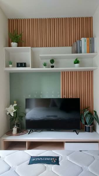 ให้เช่า - My Condo Sukhumvit 81 : มายคอนโด สุขุมวิท81, กรุงเทพ