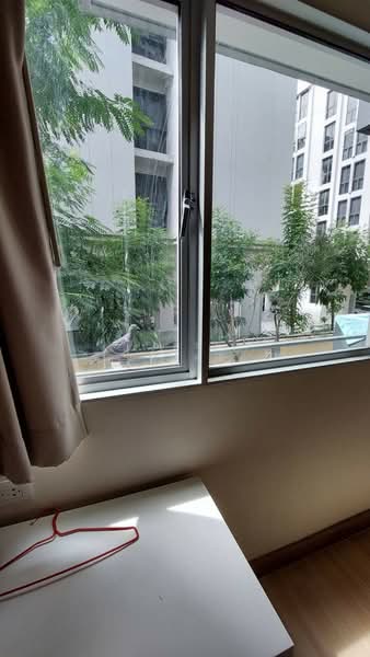 For Rent - My Condo Sukhumvit 81, Bangkok