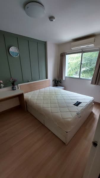 ให้เช่า - My Condo Sukhumvit 81 : มายคอนโด สุขุมวิท81, กรุงเทพ