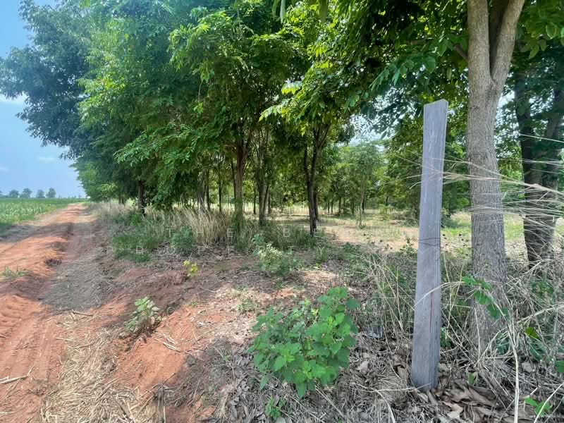 ที่ดินนาโพธิ์ มหาสารคาม, Maha Sarakham, Na Pho, Kut Rang, Maha Sarakham, , 40,424 sqm, Land For Sale, by The Best Property อัคร, 500289669 - DDproperty.com