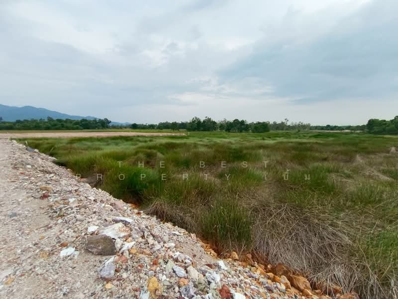 ที่ดินคลองนารายณ์ จันทบุรี, จันทบุรี, คลองนารายณ์, เมืองจันทบุรี, จันทบุรี, 8,060 ตร.ม., ที่ดิน ขาย, โดย The Best Property เบิ้ม, 500289745 - DDproperty.com