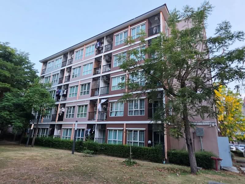 The Miami Bangpu, Samut Prakan, Soi Thetsaban Bang Pu 72, Tai Ban, Muang Samut Prakarn, Samut Prakan, 1 Bedroom, 25 sqm, Condo For Sale, by The Best Property อี๊ด, 500290063 - DDproperty.com