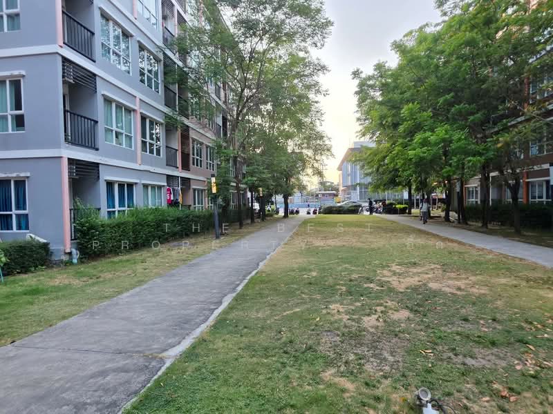 The Miami Bangpu, Samut Prakan, Soi Thetsaban Bang Pu 72, Tai Ban, Muang Samut Prakarn, Samut Prakan, 1 Bedroom, 25 sqm, Condo For Sale, by The Best Property อี๊ด, 500290063 - DDproperty.com