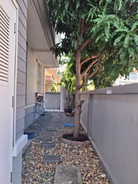 Ananda Beach Life, Samut Prakan, Soi Ananda Beach Life Village, Bangphli Yai, Bang Plee, Samut Prakan, 4 Bedrooms, 214 sqm, Single Detached House For Rent, by Khun Eve, 500290261 - DDproperty.com