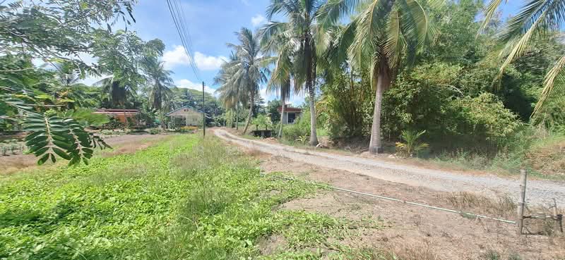 บ้านเดี่ยวพร้อมที่ดินปากพนัง นครศรีธรรมราช, Nakhon Si Thammarat, Khlong Krabu, Pak Phanang, Nakhon Si Thammarat, 2 Bedrooms, 150 sqm, Single Detached House For Sale, by The Best Property เบล, 500290325 - DDproperty.com