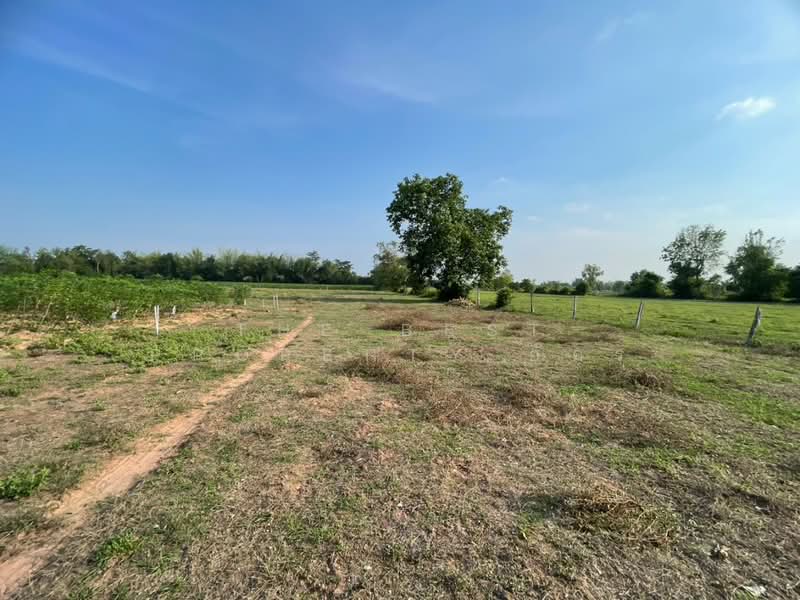 ที่ดินบ้านไผ่ ขอนแก่น, ขอนแก่น, บ้านไผ่, บ้านไผ่, ขอนแก่น, 42,072 ตร.ม., ที่ดิน ขาย, โดย The Best Property อัคร, 500290441 - DDproperty.com