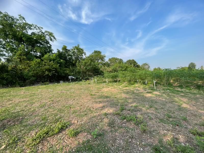 ที่ดินบ้านไผ่ ขอนแก่น, Khon Kaen, Ban Phai, Ban Phai, Khon Kaen, , 42,072 sqm, Land For Sale, by The Best Property อัคร, 500290441 - DDproperty.com